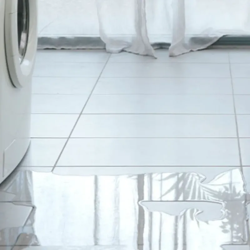 Appliance Leak Cleanup in Hammond, WI