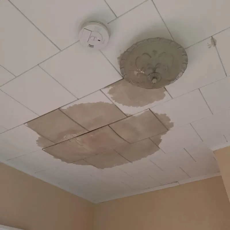 Ceiling Water Damage Repair in Hammond, WI