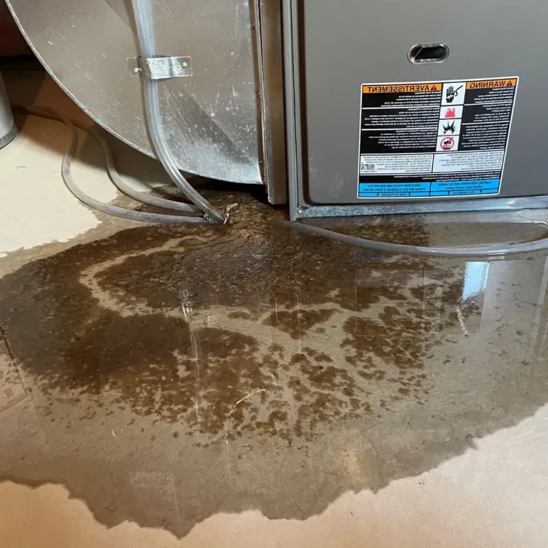 Pipe Burst and Leak Restoration in Hammond, WI